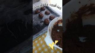 chocolate cookies🍪❤️SweetSpicyFoodChannel♡✿ [upl. by Niraa]