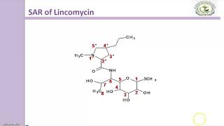 Lincomycin antibiotics [upl. by Beach]