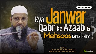 Kya Janwar Qabar Ke Azab Ko Mehsoos Karte Hain Ep 12  Shaykh Sabir Ali Umri [upl. by Adnirak]