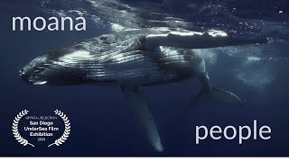 Moana People  Whales become People A revolutionary view on Nature Voice over by Florian Ulrich [upl. by Assisi79]