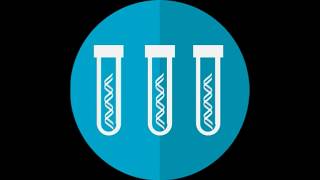 Yeast Artificial Chromosomes and Industrial development of Yeast Strains [upl. by Rekrap]