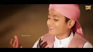 Zameen maili nahi hoti gulam Mustafa qadri official video [upl. by Eilerua]