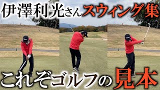 【貴重映像】これぞキングオブスイング！伊澤利光さんのお手本を何度も見てイメージを擦り込んで下さい！ドライバーからウェッジまで打って頂きました！絶品のロングアイアンをご覧下さい！＃ヨコシンゴルフレッスン [upl. by Arri29]