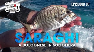 Pescare a BOLOGNESE i SARAGHI in Scogliera  Sea Bolo Passion » Sea BOLO Passion S5E3 [upl. by Elohc]