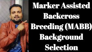 Marker Assisted Backcross Breeding MABBPart 3 Background Selection [upl. by Stagg]