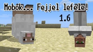 Minecraft 161  MI A  Mobok fejjel lefele [upl. by Rosse]