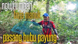 BUBU PAYUNG UMPAN BAJA IKAN BAJA AYAM MANUK BISI JEREKI NGETAN BUBU PAYUNG SAMPAI MALAM ULU SUNGAI [upl. by Ydner]