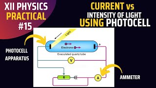 Variation of current with intensity of light using Photocell  2nd year Physics [upl. by Ettinger]