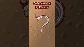 Oarfish are kind of mysterious Or [upl. by Melnick]