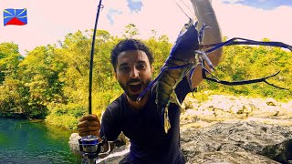 JE PÊCHE les CREVETTES GÉANTES dans les BASSINS à LA RÉUNION  CATCH COOK [upl. by Russ]