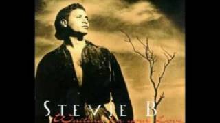 Stevie B  Waiting For Your Love [upl. by Awhsoj]