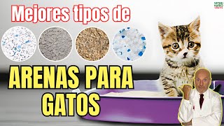 🐱 ¿CUALES SON LOS MEJORES TIPOS DE ARENA PARA GATOS 🐱 [upl. by Herring905]