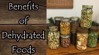 Benefits of Dehydrated Foods [upl. by Verlie474]