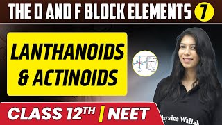 The d and f Block Elements 07  Lanthanoids amp Actinoids  Class 12thNEET [upl. by Rowney175]