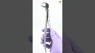 Waldent Tooth Extraction Forceps Lower Molars amp Wisdoms Left No2212L 1129 shorts shortvideo [upl. by Free]