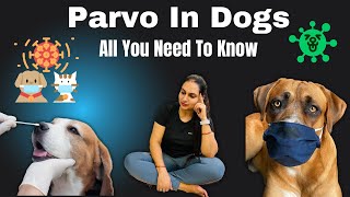 Parvo In Dogs All You Need To Know  Protect Your Dog From This Deadly Virus  Must Watch Video [upl. by Granoff]