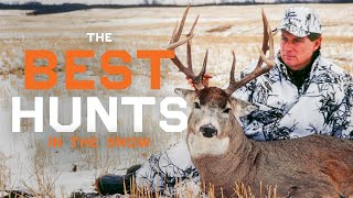 30 Minutes Late Season Deer Hunts  Monster Buck Hunts In The Snow  Best of Monster Bucks [upl. by Annmarie]