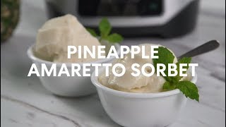 Instant Ace Plus Blender  Pineapple Amaretto Sorbet [upl. by Eilsil984]