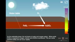 Coastal Acid Sulfate Soils [upl. by Fabrianna991]