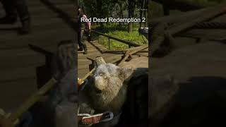 Red Dead Redemption 2 details [upl. by Eseerehs]