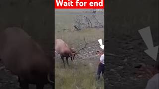 amazingfacts animals factsinhindi knowledge deer thefact new ytshorts fact trending [upl. by Aken]