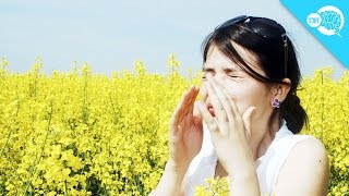 Why Do Some People Sneeze In Sunlight [upl. by Mukul]