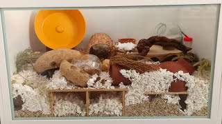 How I created my natural set up in the IKEA Komplement hamster cage [upl. by Imeka152]