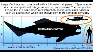 Dunkleosteus the giant armor plated fish of the Devonian [upl. by Giesecke]