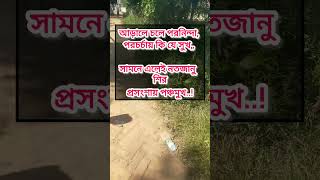 আড়ালে চলে পরনিন্দা viralvideo motivation whatismygoaloflife [upl. by Aitsirk]