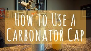 How to Carbonate a Flat Beverage  Soda Water or Any Beverage You Need Fizzy [upl. by Gernhard]