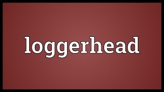 Loggerhead Meaning [upl. by Atcliffe]