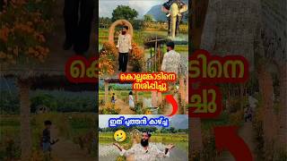 Kollengode  Kollengode Palakkad  Tourist Places in Kollengode shorts shortvideo [upl. by Ordnagela]