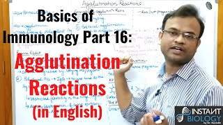 Basics of Immunology Part 16 Agglutination Reactions [upl. by Oicaroh254]