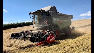 Fendt Mähdrescher 5275 C PL im Einsatz  DJI Mini 2 [upl. by Neve985]