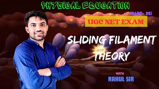 Sliding filament theory by Rahul sir  Muscular system  Physiology  Physical education  UGC NET [upl. by Lenssen767]