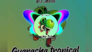 DJ Jesús tema 💥clavala Guaracha tropical 🔥 [upl. by Aicnorev]