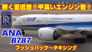 響く重低音‼甲高いエンジン音‼間近で聞くANA B787エンジン音 プッシュバック～タキシング [upl. by Calvert]