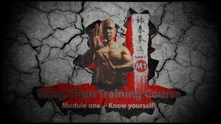 Wing Chun Sli Lim Tao  Know yourself [upl. by Raney]