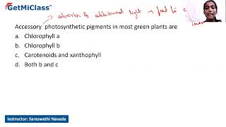 photosynthetic pigments [upl. by Leikeze]