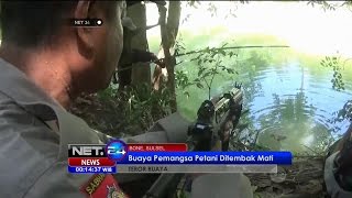 Buaya Pemangsa Petani Ditembak Mati Di Bone Sulawesi Selatan  NET24 [upl. by Thurstan]