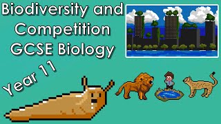 Competition between Organisms and Protecting Biodiversity  WJEC Biology  GCSE REVISION Year 11 [upl. by Leopoldeen]