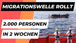 Die Migrationswelle rollt 2070 Neuzugänge in erster Okroberhälfte  News 18102024 [upl. by Ahsek]