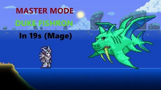 Master Mode Duke Fishron in 19s with Mage [upl. by Landre]