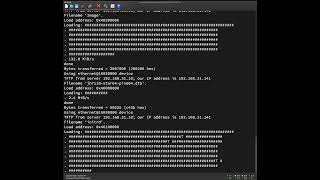 Star64 JH7110 TFTP Boot Before Fixing TFTP Server [upl. by Nnylsaj909]