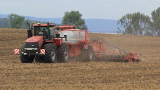 Case IH Steiger 450 HD with Horsch Pronto 8SW at Klostergut Winningen in Germany  Take I [upl. by Nasas519]