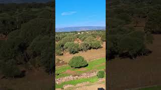 Nuraghe Su Nuraxi di Barumini einer von ca7000 solcher Steintürme [upl. by Cyril709]