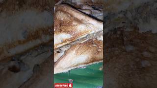 🍞🍞🥪🥪Bread Sandwich Recipe🥪🥪 food eveningsnacks breakfast salmonfish subscribe yummy shorts [upl. by Lucita]