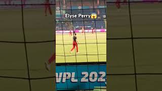 Elyse Perry😱 perry wpl rcb smritimandhana shorts criket women [upl. by Arimay]