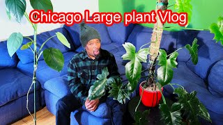 Vlog day in the Life  Large Plants [upl. by Trini]