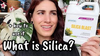 What is Silica amp Do Your Plants Need It 🌿 everything you need to know before buying amp using silica [upl. by Gem]